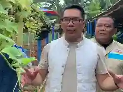 RK Berjanji Untuk Membuat Pergub terkait Pinjam Lahan untuk Urban Farming Warga